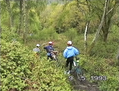 09 May 1993 · Lustleigh Cleave